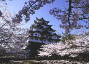 4eb1894d6a8f7bb9022c9e3adc2e2ae74c0c670c