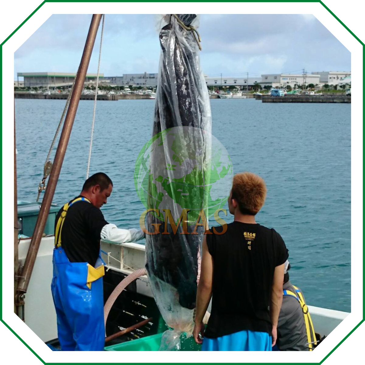 NHẬT BẢN - NGÀNH THỦY HẢI SẢN PHÁT TRIỂN BẬT NHẤT HIỆN NAY