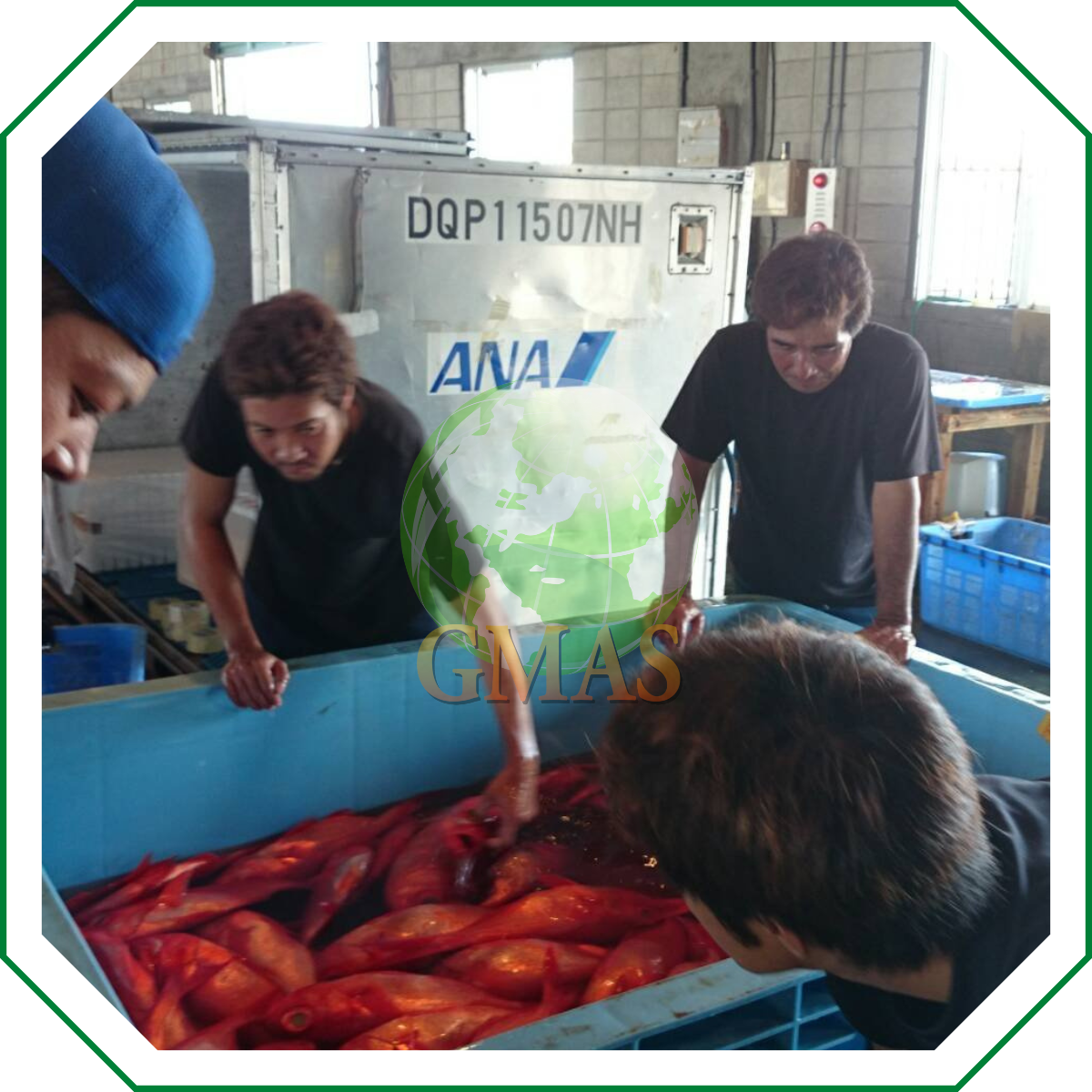 TIẾN HÀNH PHÂN LOẠI - CHỌN LỌC