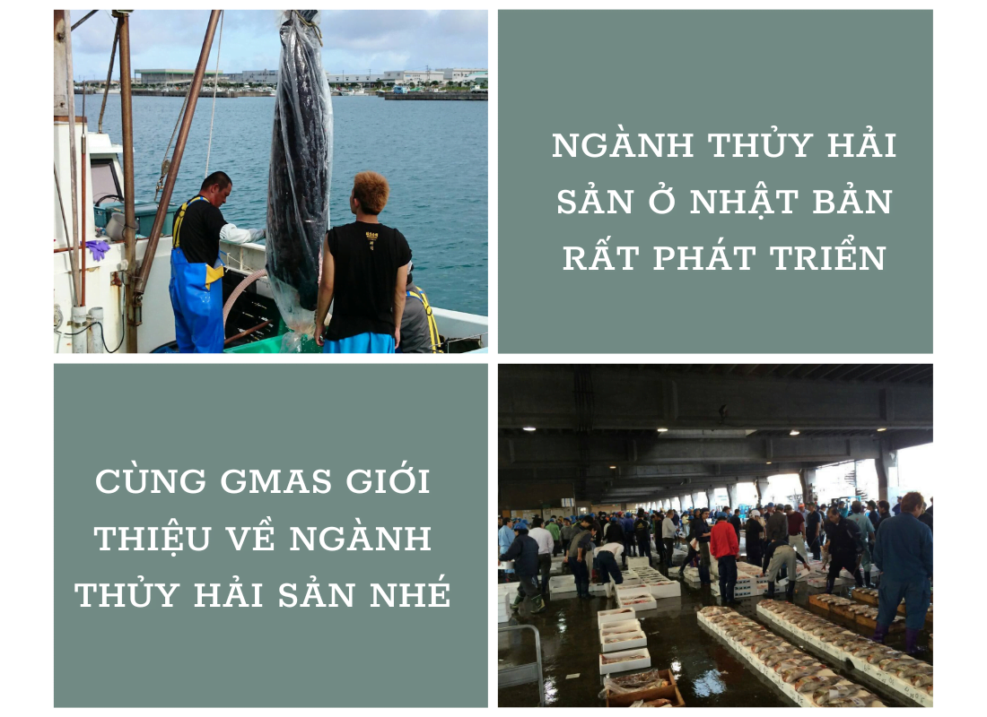 CHUC MUNG LAO DONG CANADA XUAT CANH 8