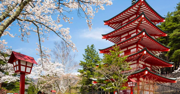 7 quy trinh xuat khau lao dong nhat ban