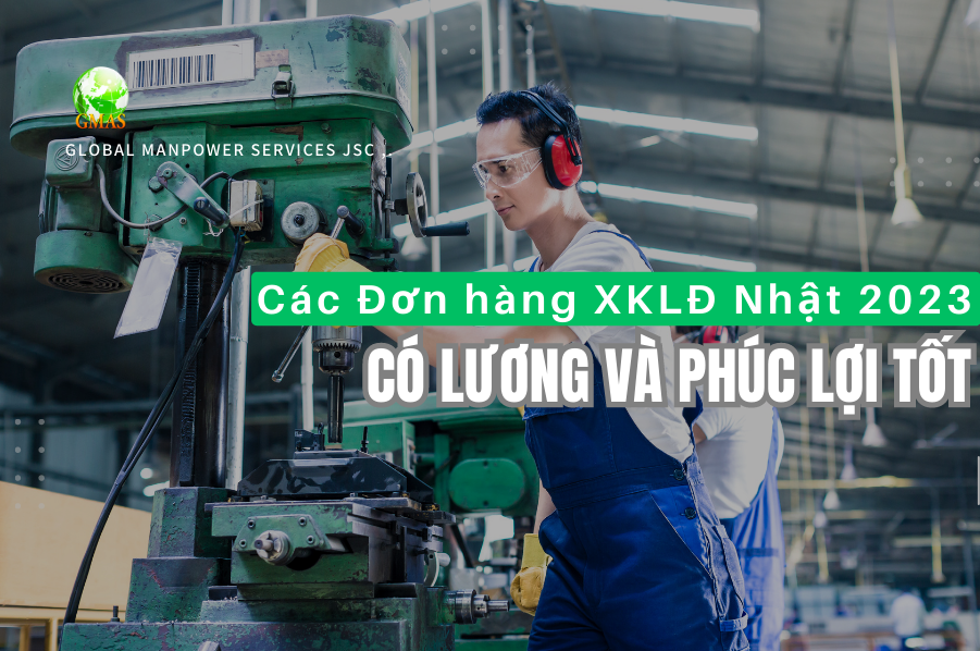 cac don hang xkld nhat 2023