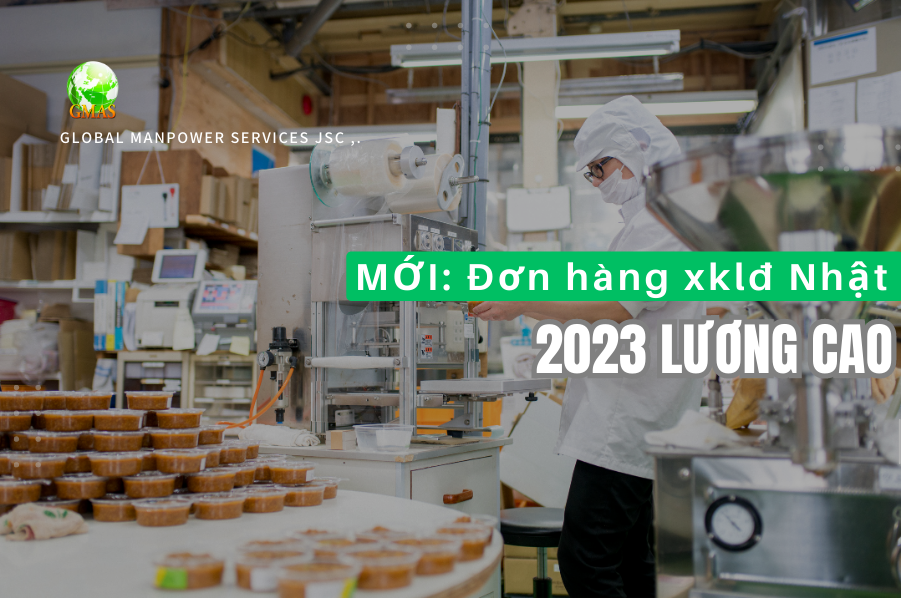 don hang xkld nhat luong cao 2023