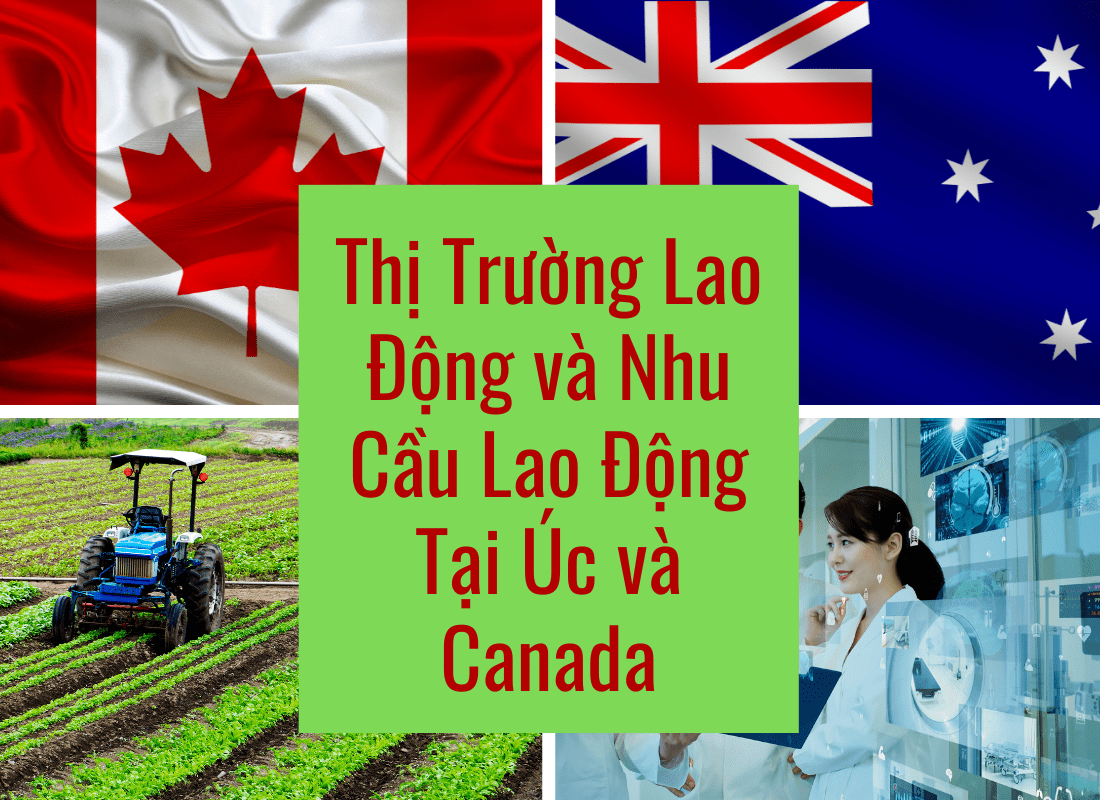 Thị Trường Lao Động và Nhu Cầu Lao Động Tại Úc và Canada