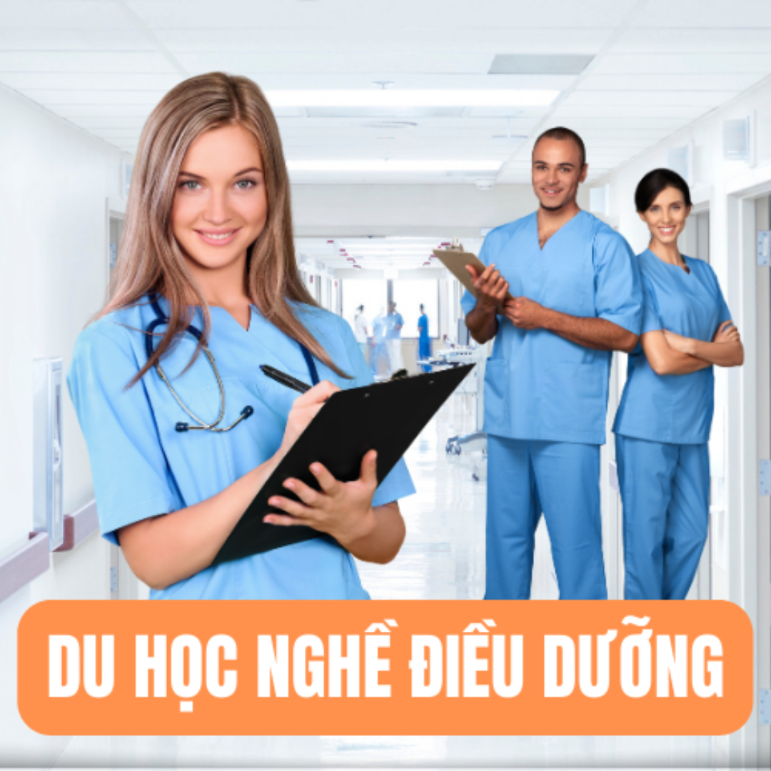 du hoc nghe 2 1