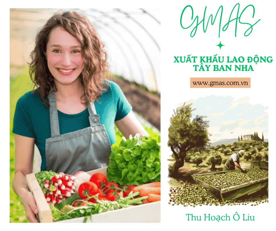 Xuất Khẩu Lao Động Tây Ban Nha: Ngành Nông Nghiệp 26 xuat khau lao dong tay ban nha