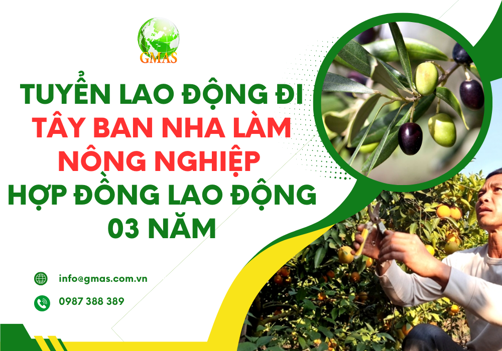 Tuyển lao động đi tây ban nha làm nông nghiệp