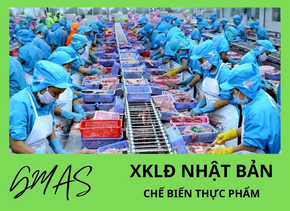 Các đơn hàng đi Nhật cho nữ: lương cao, phúc lợi tốt 27 don che bien thuc pham cho nu