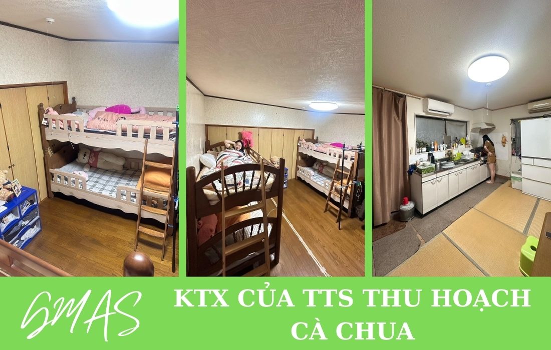 ktx cua tts lam ca chua