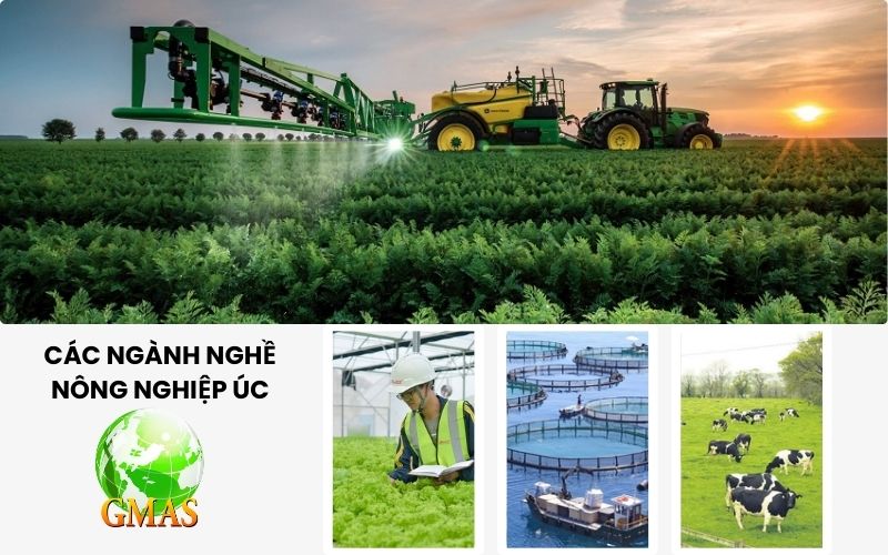 Visa Nông nghiệp Úc 403: Hồ sơ, điều kiện, mức lương 26 nganh nghe visa nong nghiep 403