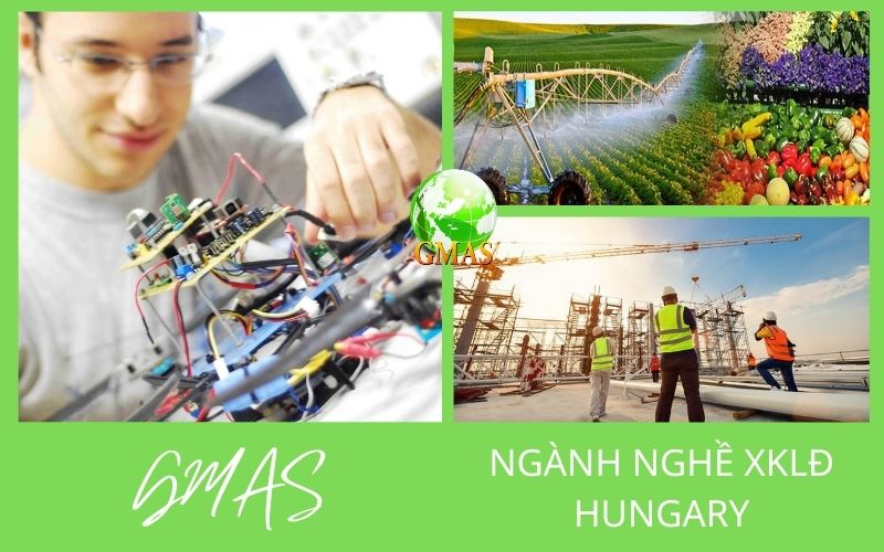 Xuất Khẩu Lao Động Hungary: Mức Lương, Chi Phí và Điều Kiện 26 nganh nghe xuat khau lao dong hungary