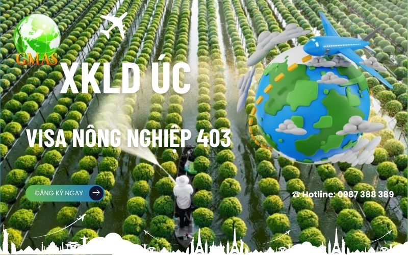 Visa Nông nghiệp Úc 403: Hồ sơ, điều kiện, mức lương 24 visa nong nghiep 403