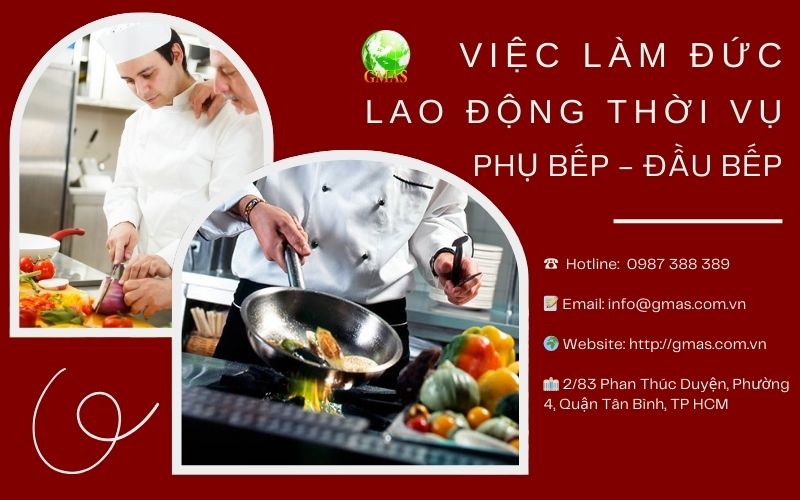 viec lam duc thoi vu bep 8 thang