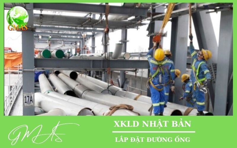 lap dat duong ong tai nhat 3 2025