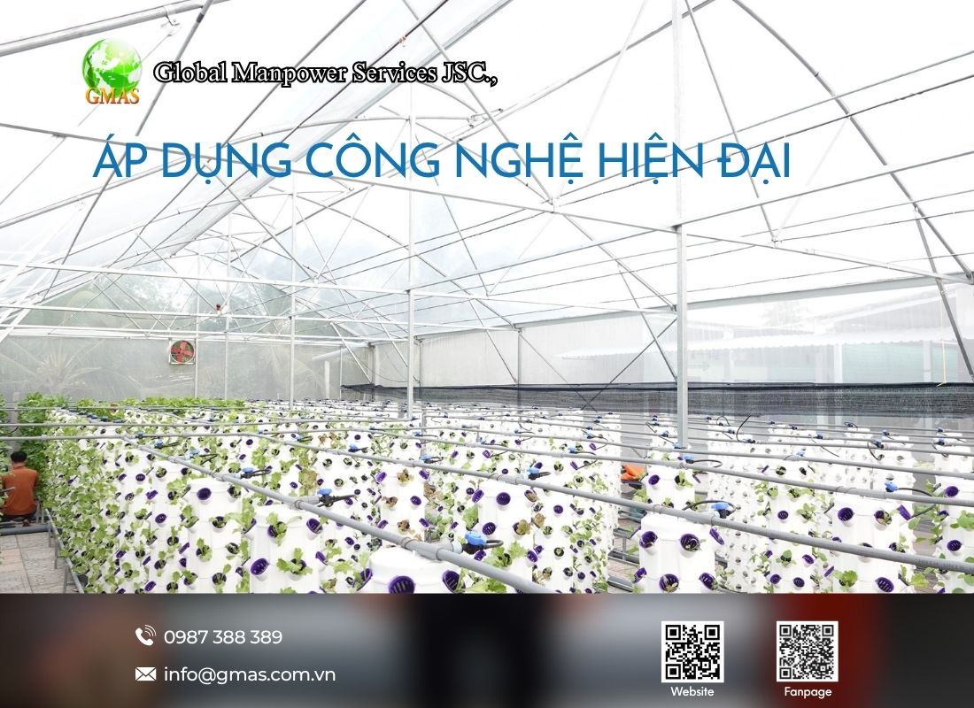 Việc làm nông nghiệp nhà kính ở Nhật: Không còn "chân lấm tay bùn" 26 nong nghiep nha kinh nhieu cong nghe