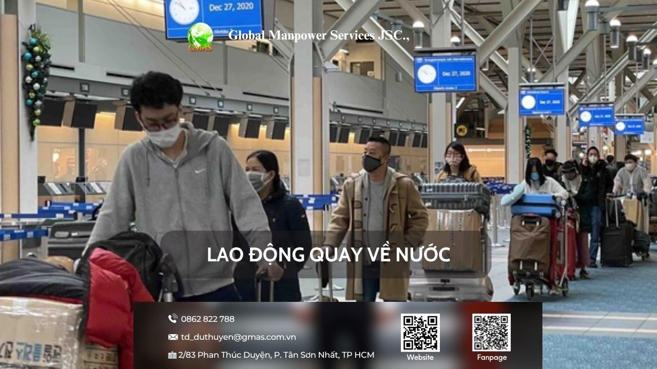 Vì sao nhiều lao động về nước sau vài tháng sang Nhật? 25 lao dong ve nuoc