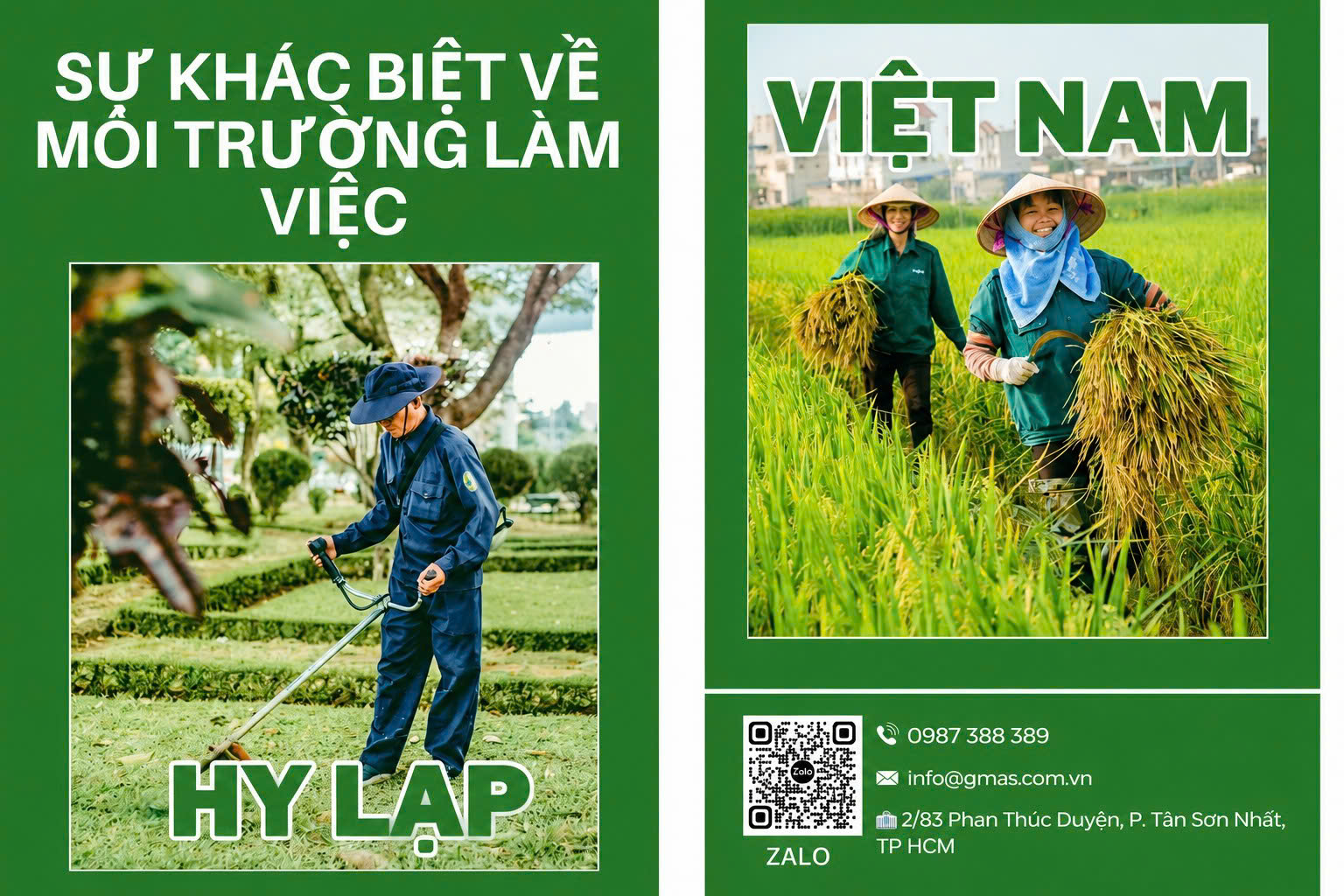MÔI TRƯỜNG LÀM VIỆC TẠI HY LẠP KHÁC GÌ VIỆT NAM? 21 moi truong