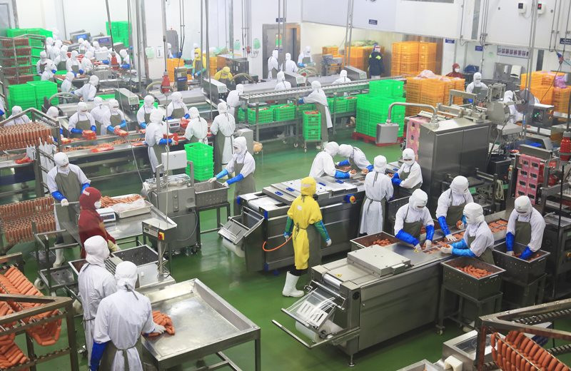 TUYỂN DỤNG NHÂN VIÊN DÂY CHUYỀN SẢN XUẤT THỰC PHẨM GÀ TẠI ĐỨC 21 cong nghe che bien xuc xich tai duc