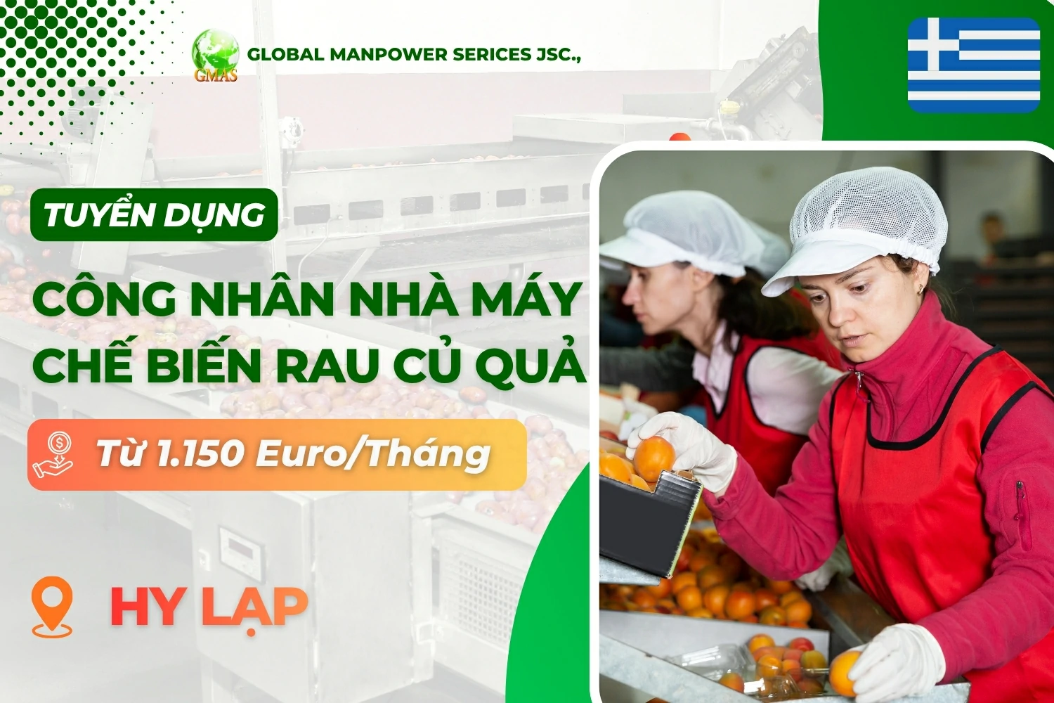 tuyen dung Hy Lap