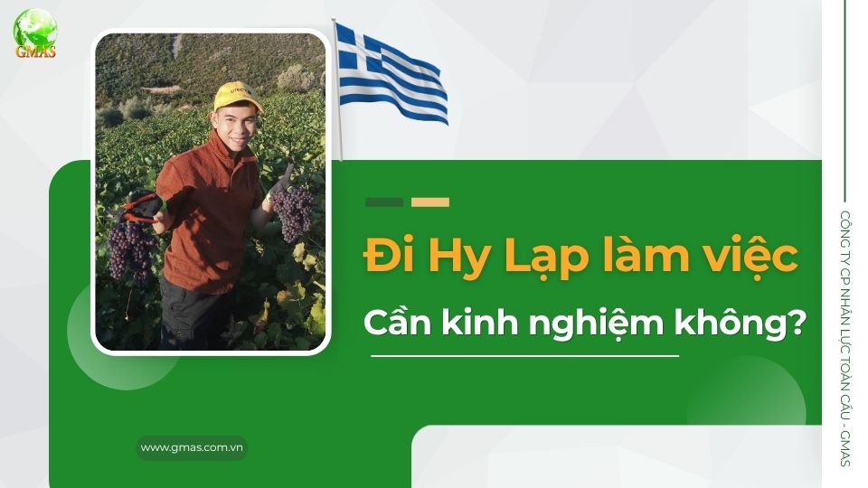 CO CAN KINH NGHIEM LAM VIEC HY LAP