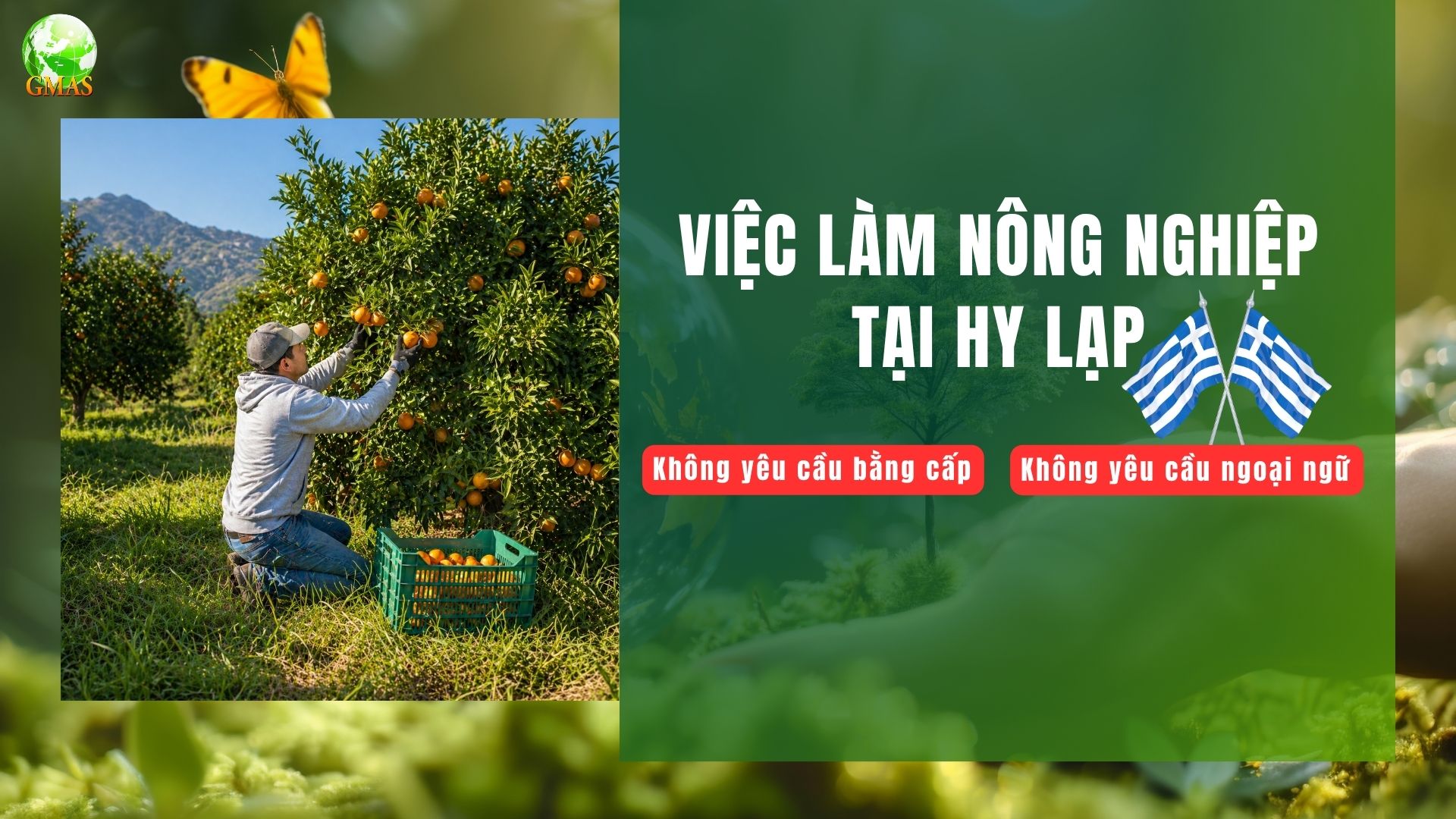 nong nghiep hy lap