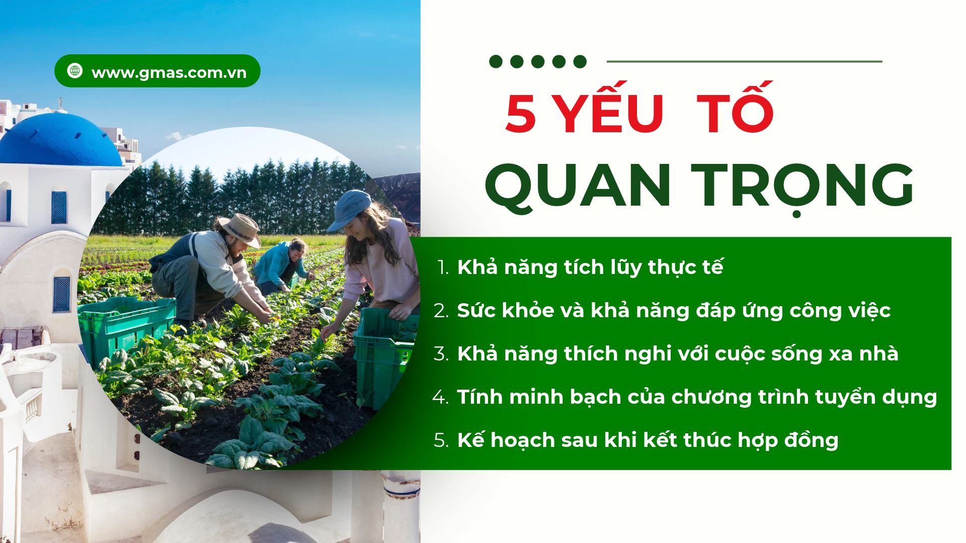 Co Nen Di Hy Lap Lam Viec Nam 2027 1